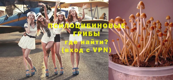 шишки Алзамай