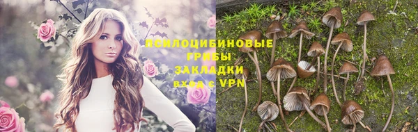 стаф Абинск