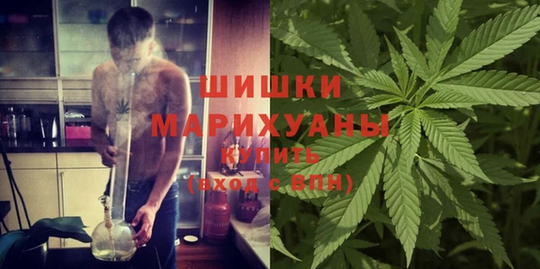 шишки Алзамай