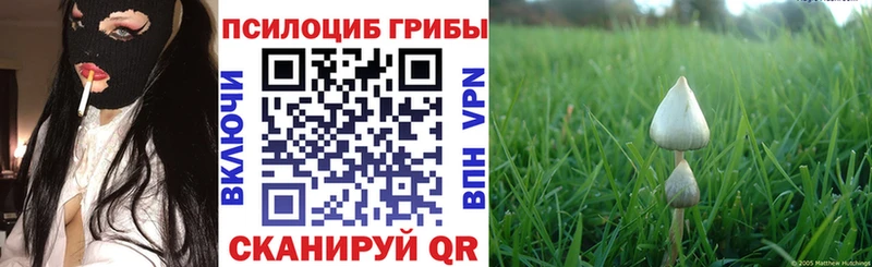 дарнет шоп  Новоалександровск  Галлюциногенные грибы прущие грибы 